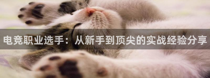 uwin电竞网址：电竞职业选手：从新手到顶尖的实战经验分享