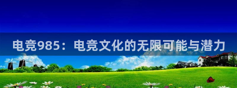 uwin电竞平台：电竞985：电竞文化的无限可能与潜力