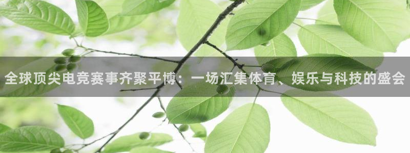 uwin电竞平台：全球顶尖电竞赛事齐聚平博：一场汇集体育、娱乐与科技的盛会