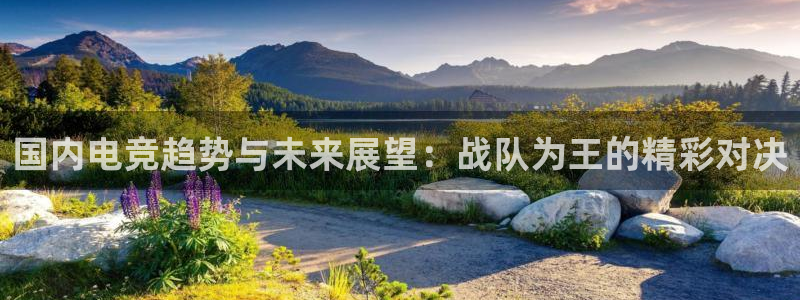 Uwin电竞在线：国内电竞趋势与未来展望：战队为王的精彩对决