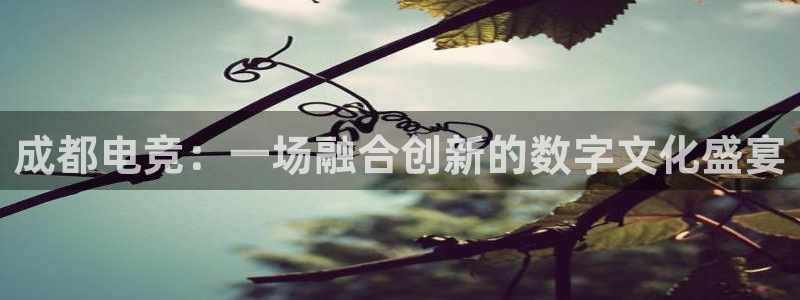 uwin电竞平台：成都电竞：一场融合创新的数字文化盛宴