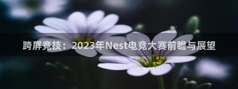 uwin电竞集团：跨屏竞技：2023年Nest电竞大赛前瞻与展望